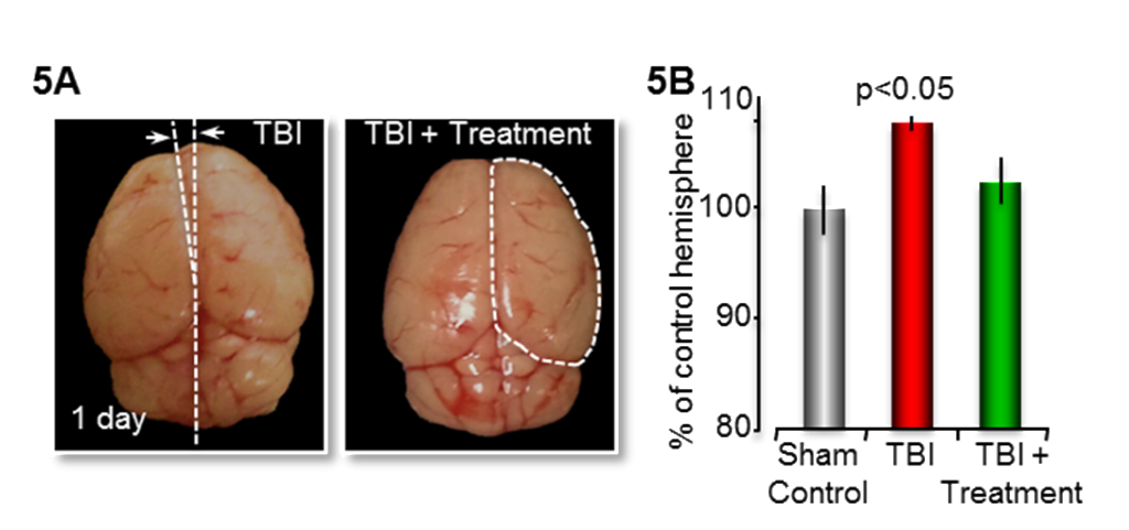 healing-after-tbi-and-concussions-astrocyte-pharmaceuticals